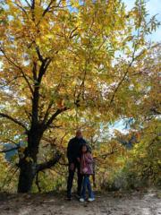 Juan Antonio Álvarez Tello