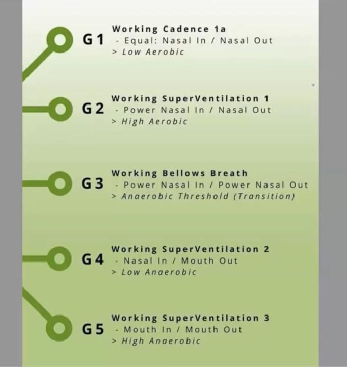 Day #1 Workout results