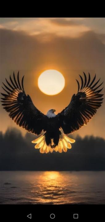 Nour el houda Khecha