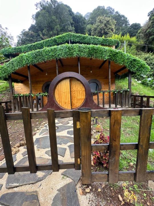 Tatiana Masis Romero