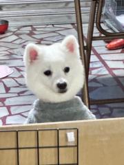 鄭 藍天