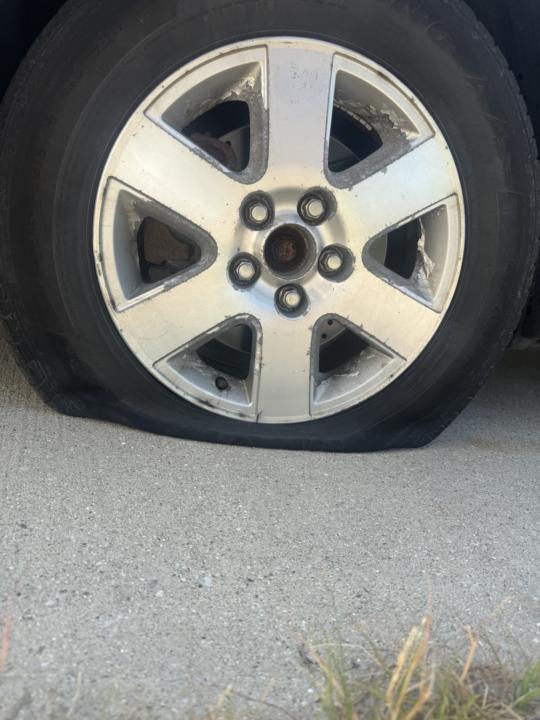 Flat Tire! & Field Trip!