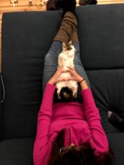 Estefania Cassanelli