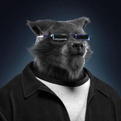 Bayarsaikhan Tserendagva