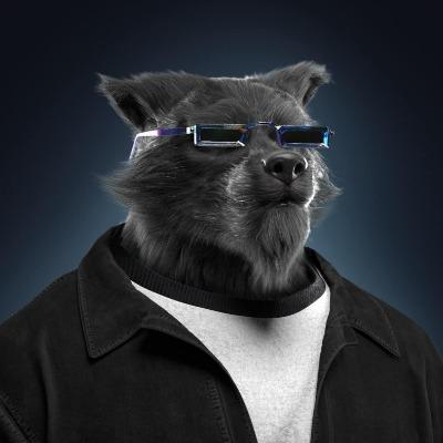 Bayarsaikhan Tserendagva