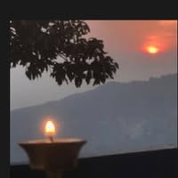 Bích Phượng Nguyễn