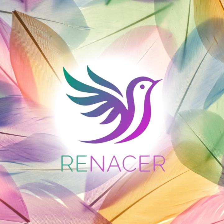 Academy Renacer