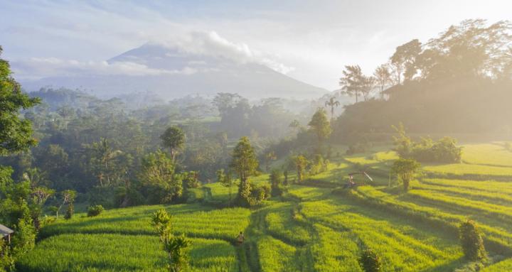 Expatriation Bali