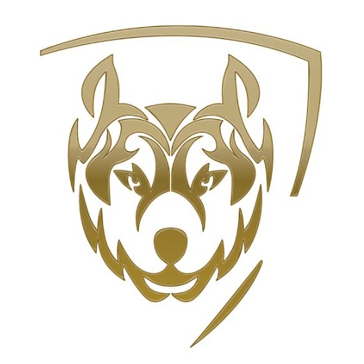Alphalete Marketing