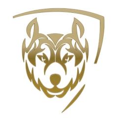Alphalete Marketing