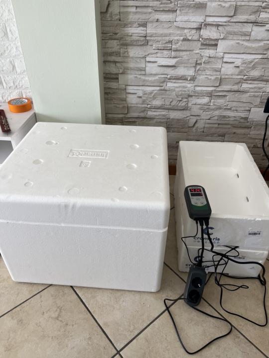 Scatola di fermentazione fai-da-te