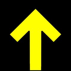 Andros De Lopo Boyero