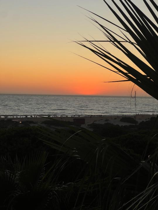 Alberto Perez Franco