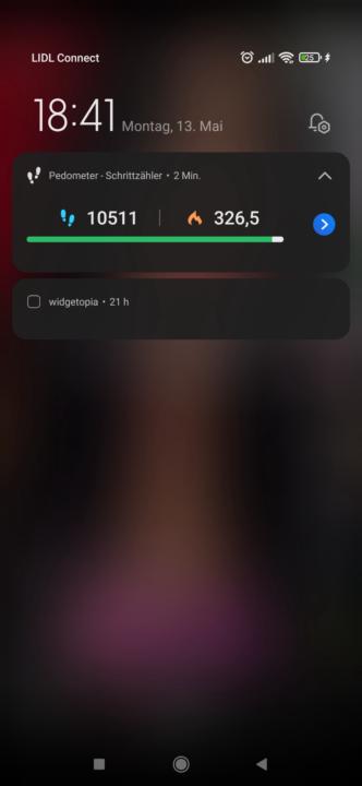 10.000 Steps
