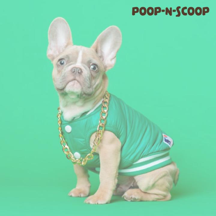 Poop - N Scoop