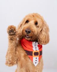 Michel Gabriel Figarella Polanco