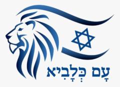 מנחם רון