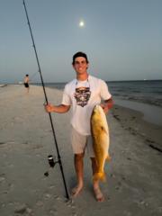 Rock Gearhart
