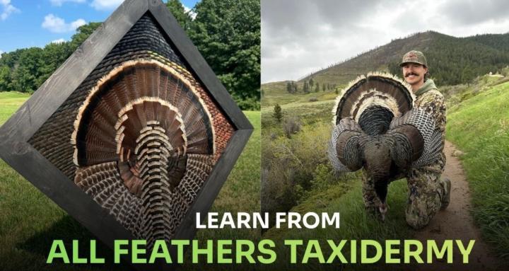 Feather Art Academy