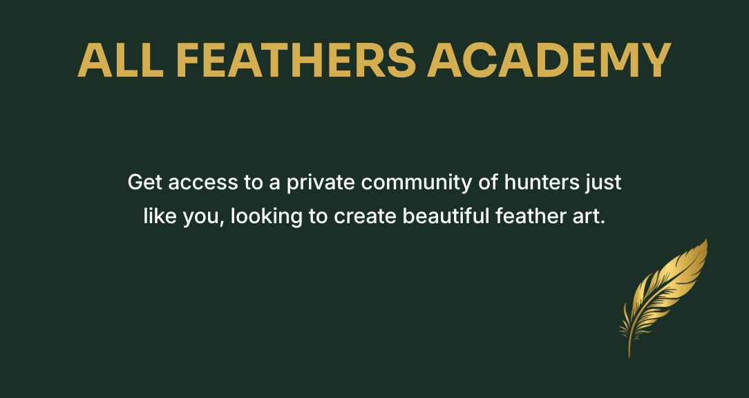 All Feathers Academy