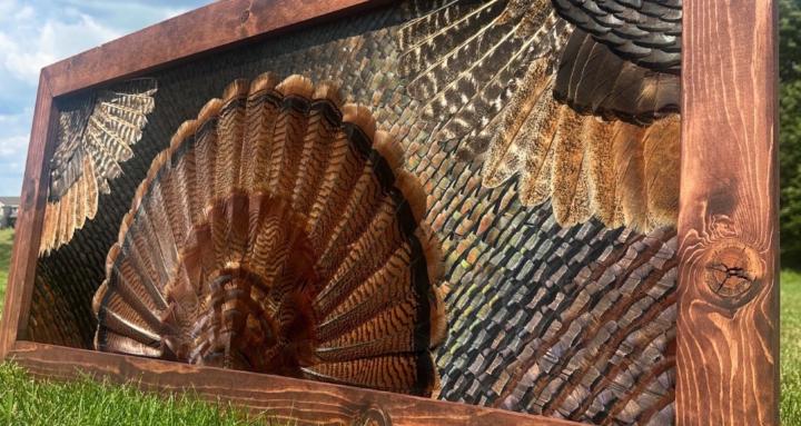 All Feather's Feather Art