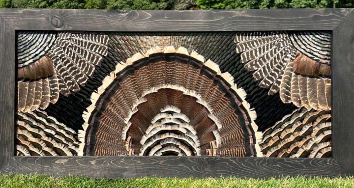All Feather's Feather Art