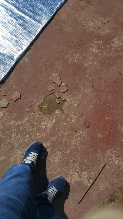 Belbachir Mohammed djelloul