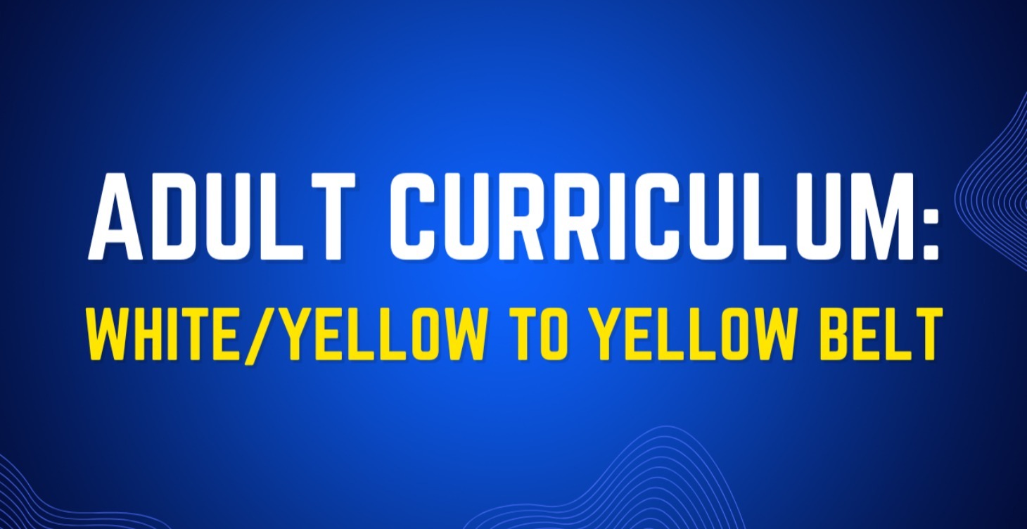 Adult Curriculum: White/Yellow To Yellow Belt