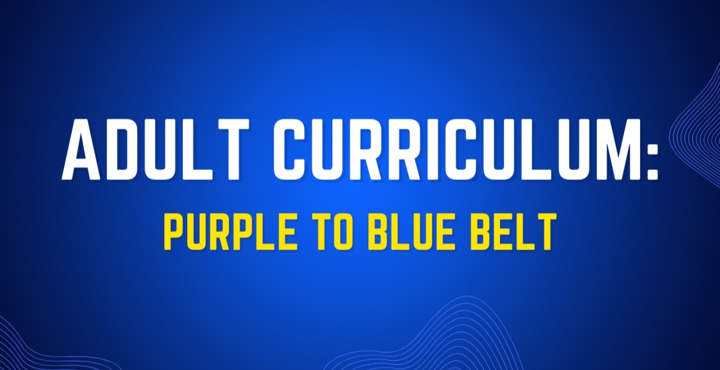 Adult Curriculum: Purple To Blue Belt