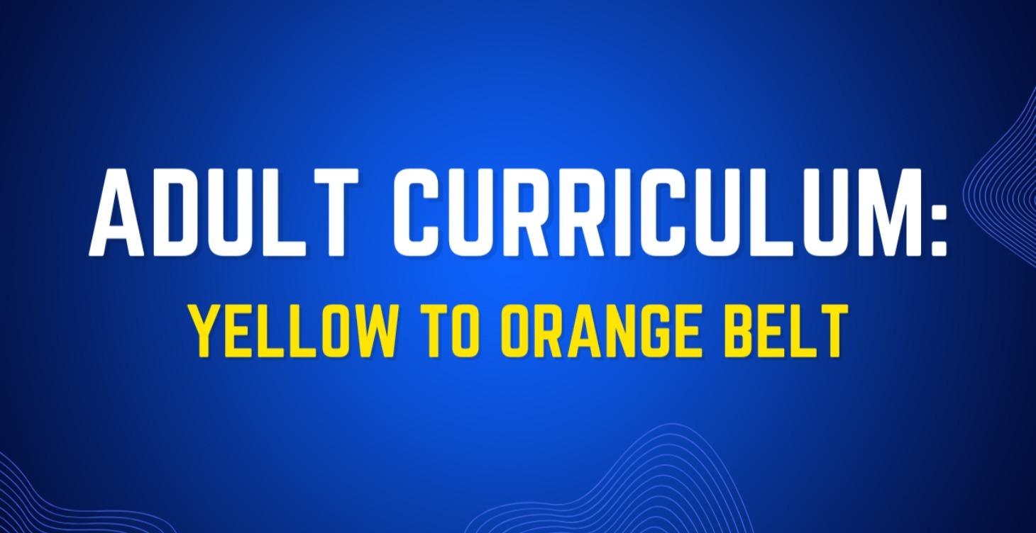 Adult Curriculum: Yellow To Orange Belt