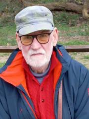 Djordje Stanisavljevic