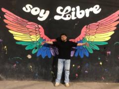 Fabricio Angel Salinas Mamani