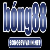 Bongviva In net