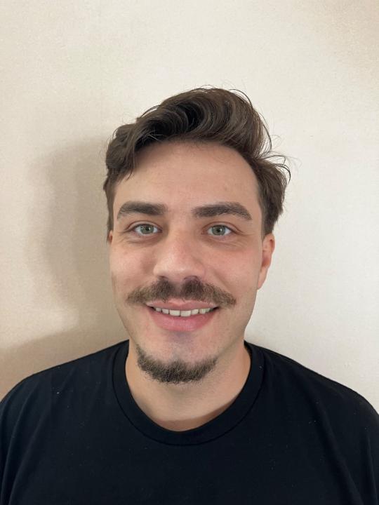 David Mircea
