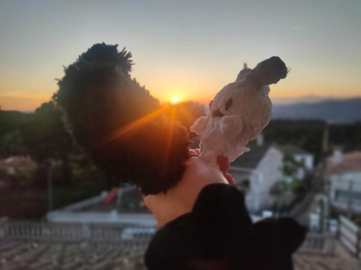Margot Leclercq