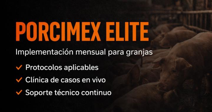 PORCICULTORES WORKSHOP