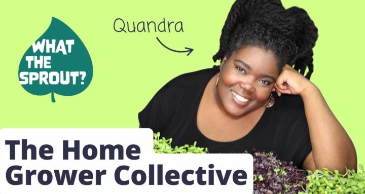 The Home Grower Collective