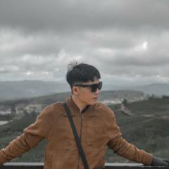 Duy Le Anh