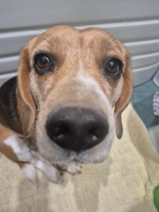 Viktoriia Korepanova