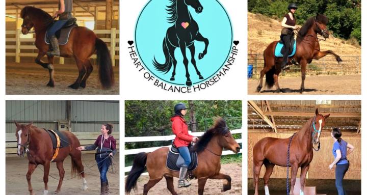 Heart of Balance Horsemanship