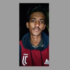 Niraj Sapkale