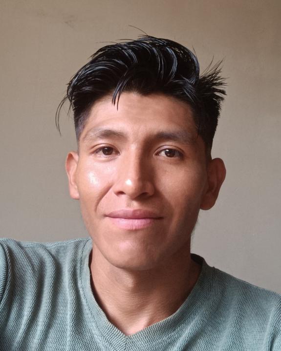 David Mamani