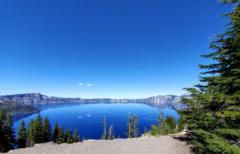 Christina Fitzpatrick