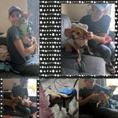 David Wilson Hernandez