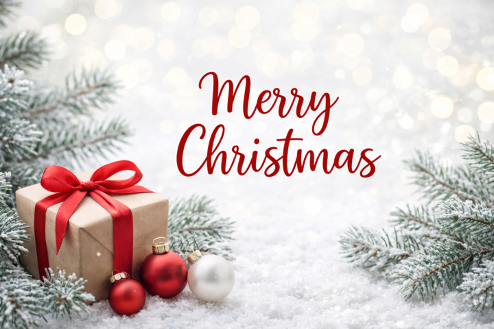 Merry Christmas 🎄