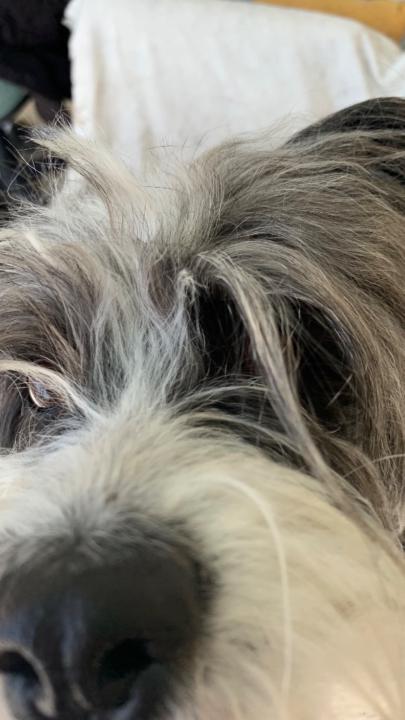 Κωνσταντίνα Χρυσοχοϊδου