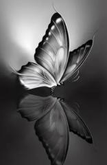 Natalie Welty
