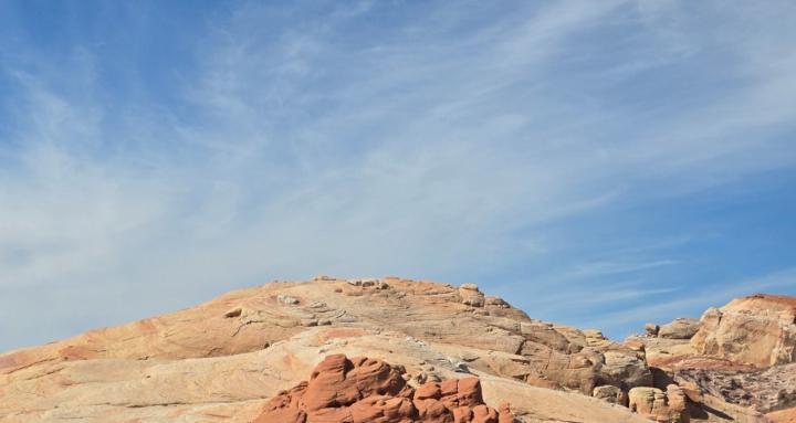 Rooted & Rising Wellness