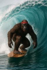Ze Bigfoot