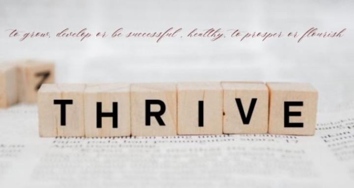 See Lillian Thrive